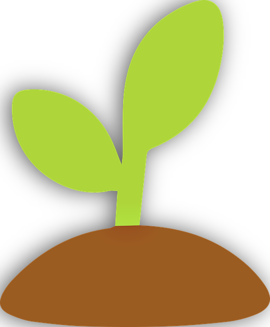 Organic Gardening News